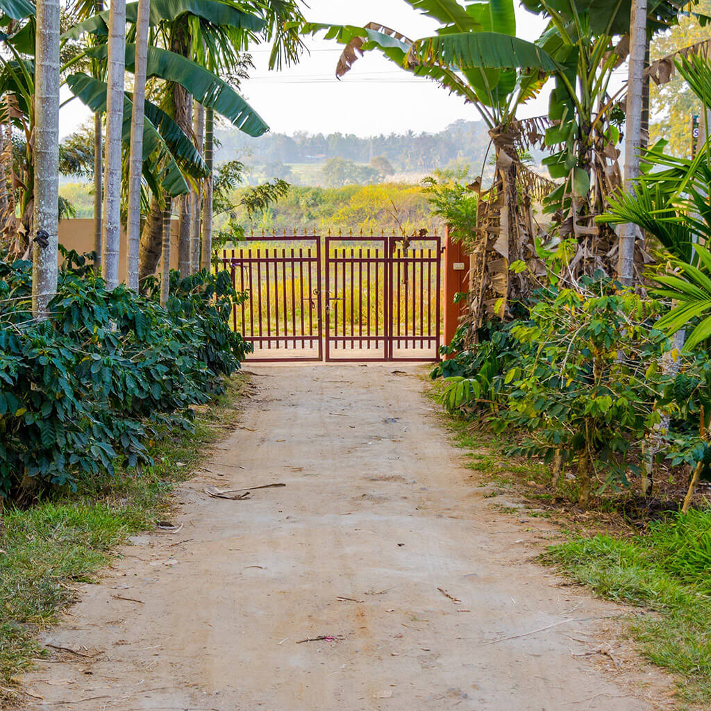 Entrance Gate of Our Homestay