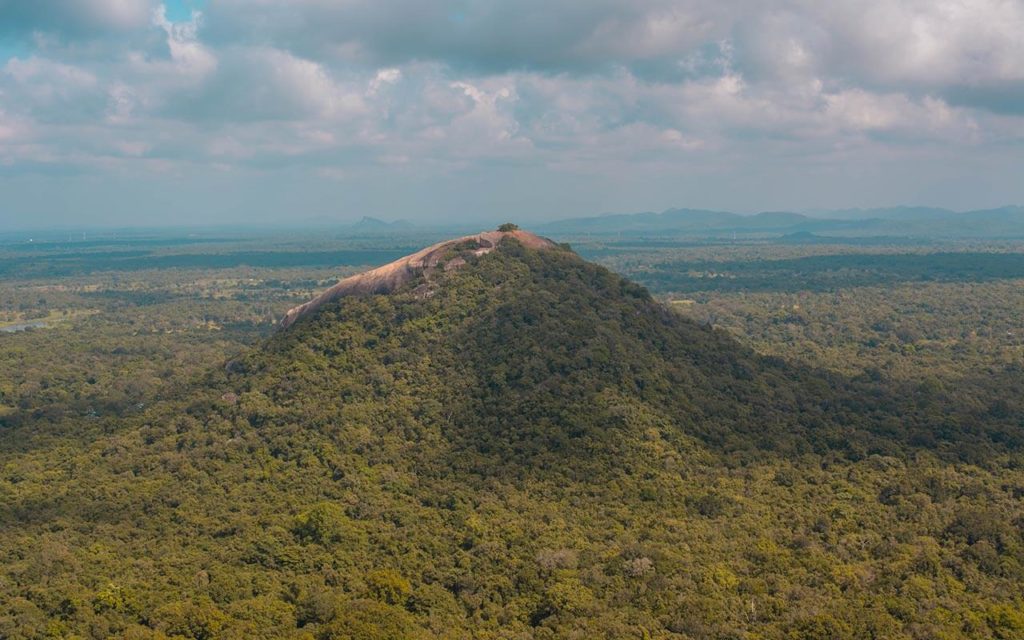 View from the top of Sigiriya Rock