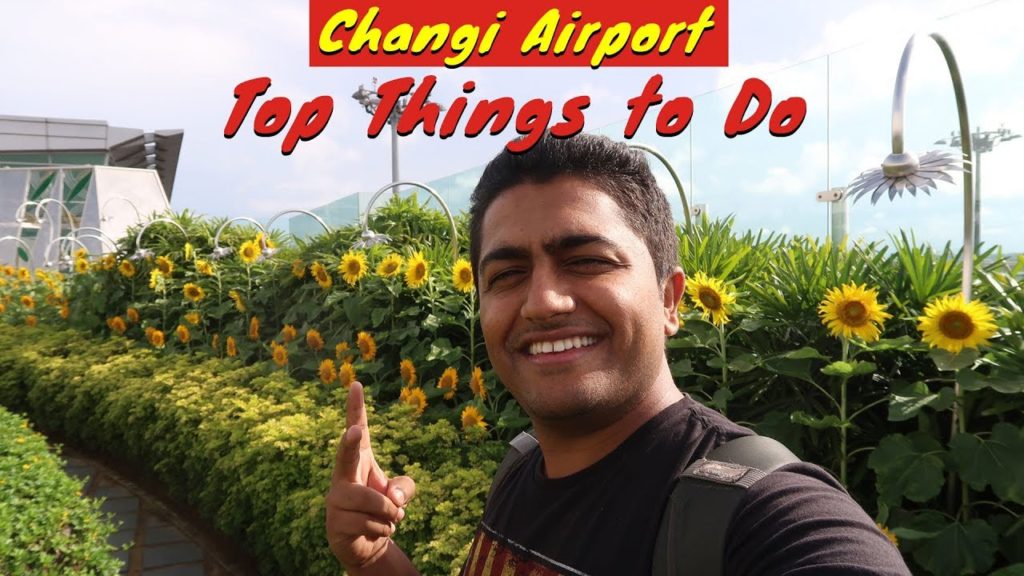Top Things to do at Changi Airport Singapore | Singapore Airport Guide